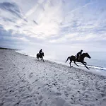 Strandhotel Fischland Hotel 5*