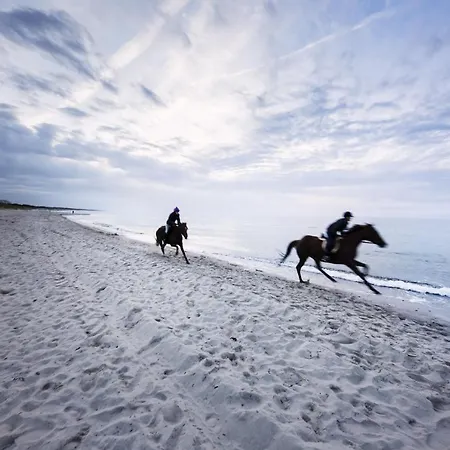 Strandhotel Fischland 호텔 5*