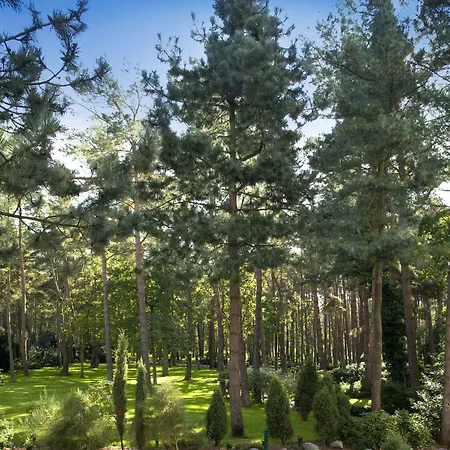 Strandhotel Fischland 5*