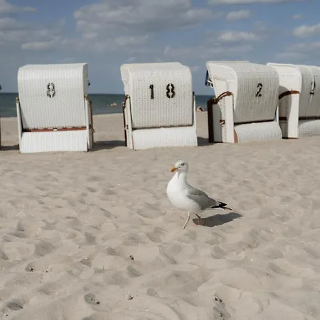 호텔 Strandhotel Fischland 5*