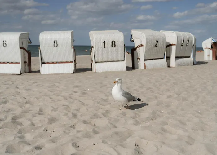 Hotel Strandhotel Fischland 5*